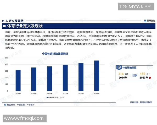 中国体育文化在社会发展与个人成长中的多重功能探讨